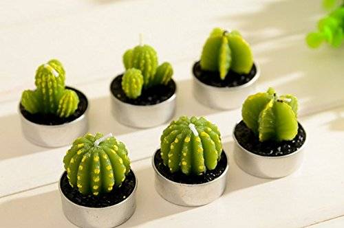 Succulent Green Cactus Candles // 10 Cool & Creative Candle Designs For Love, Romance & Home Decor