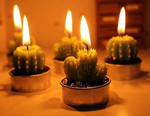 Succulent Green Cactus Candles At Night // 10 Cool & Creative Candle Designs For Love, Romance & Home Decor