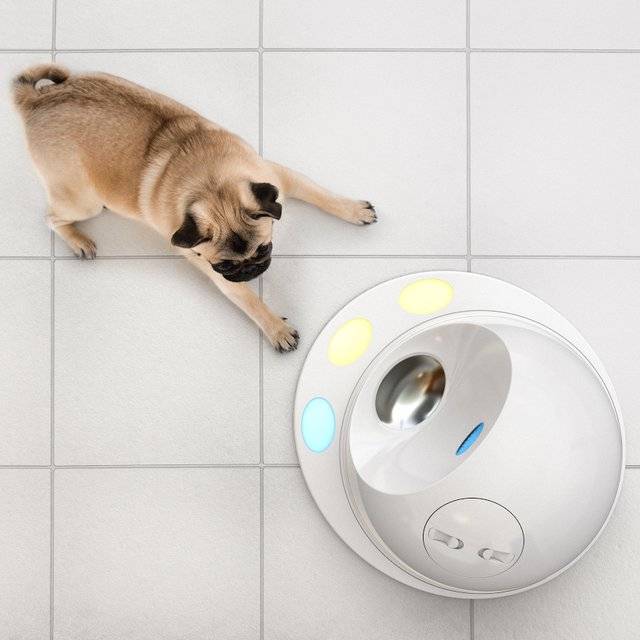 The CleverPet Smart Treat Console // 10 Best SMART Home Technology Devices That Will Connect Your Home Forever