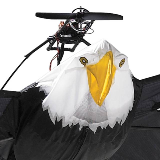 Remote Controlled Bald Eagle Flying Toy // 10 CREATIVE Cool Toys You'll Want To Keep For Yourself