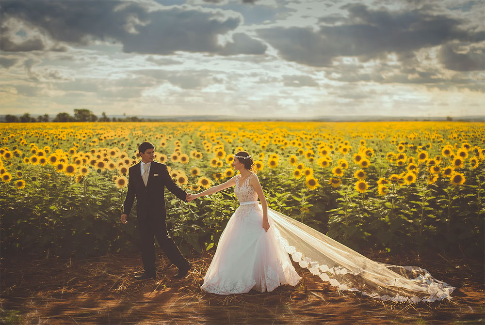 Sunflower Wedding Ideas